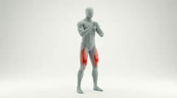 Bodyweight Squat