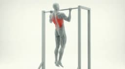 Chin Ups