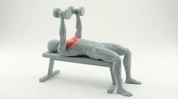 Dumbbell Chest Fly