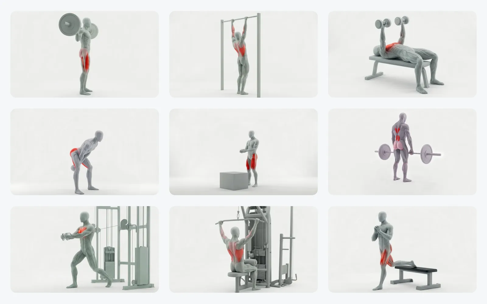 How Fitness Apps Get Exercise Demonstration Videos